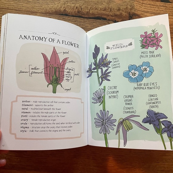 Nature Anatomy by Julia Rothman book. Excellent condition. - Picture 7 of 8
